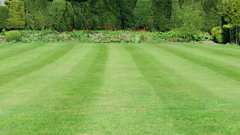 Lawn After Mowing