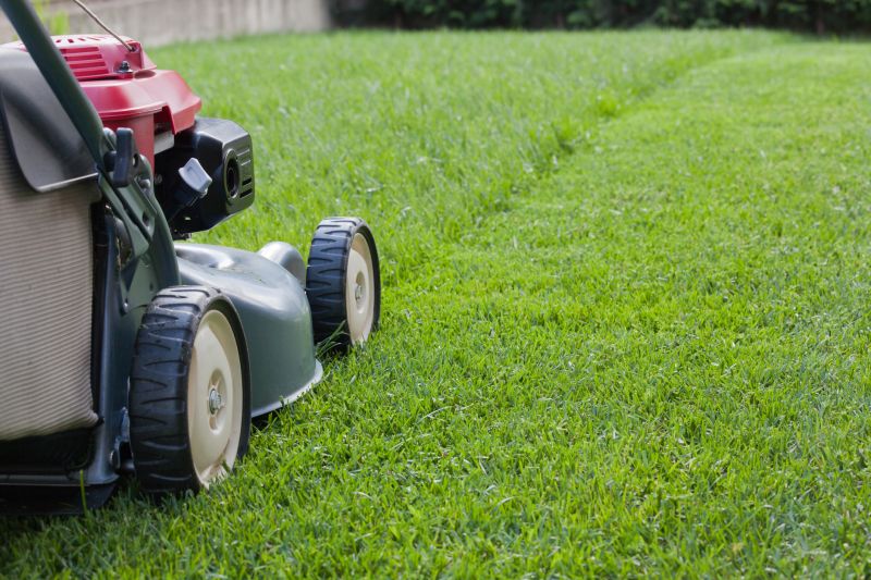 Routine Lawn Maintenance