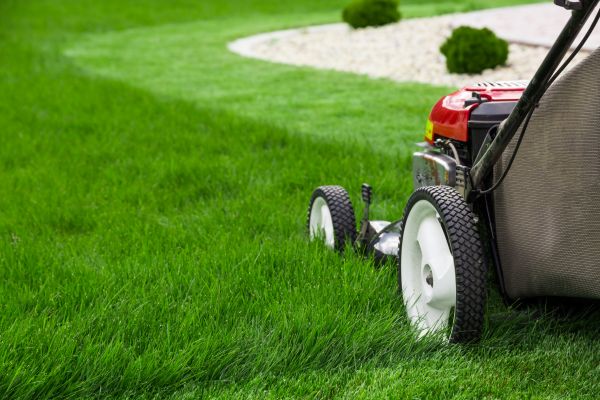 Weekly Mowing in Bowie