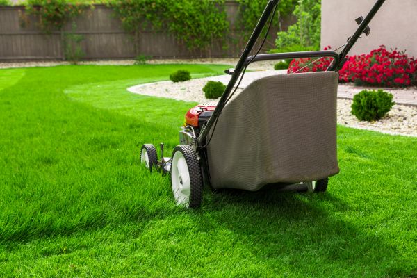 Spring Grass Cutting